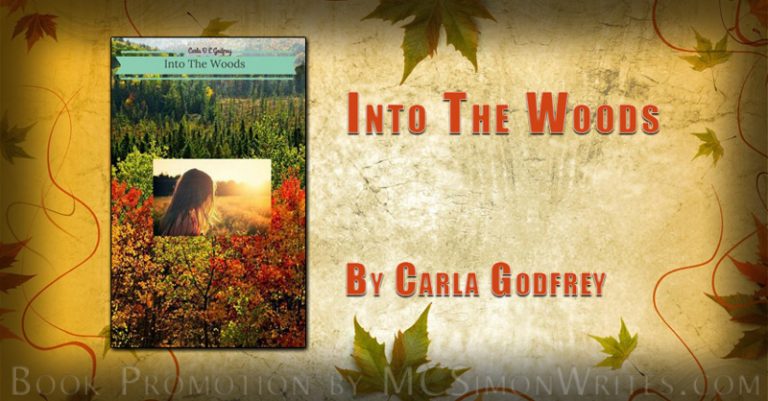 into-the-woods-banner into-the-woods-banner