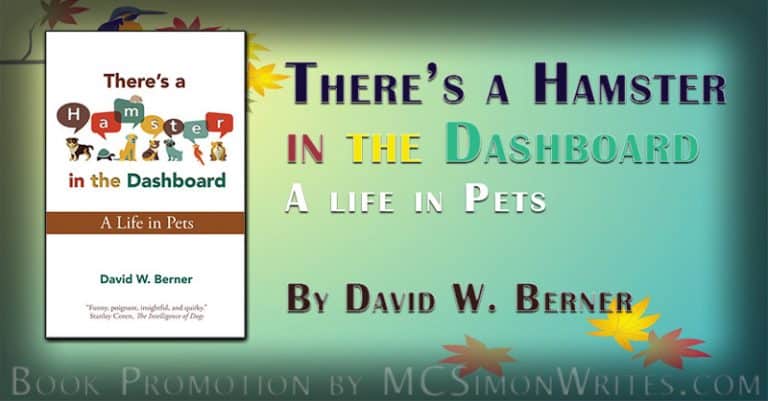 There’s a Hamster in the Dashboard There's a Hamster in the Dashboard