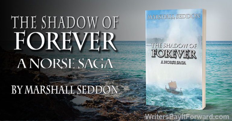 The-Shadow-of-Forever-banner The-Shadow-of-Forever-banner