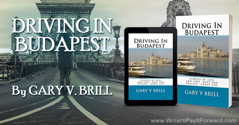 Driving-In-Budapest-banner Driving-In-Budapest-banner