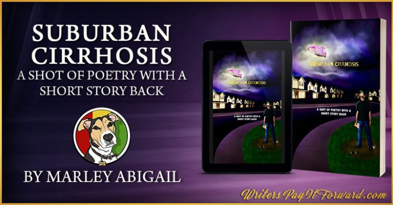 Suburban Cirrhosis - Struggling With Alcoholism And Depression Poems That Tell A Story